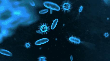 袜元素国家专利防臭袜,解密神奇抗菌防臭袜真正不臭脚