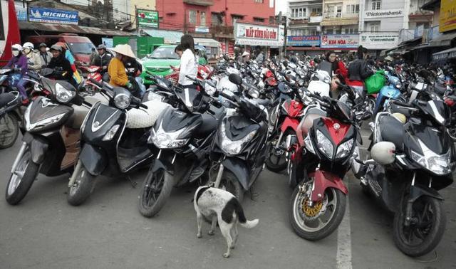 越南人来中国旅游都买些什么,越南游客很多