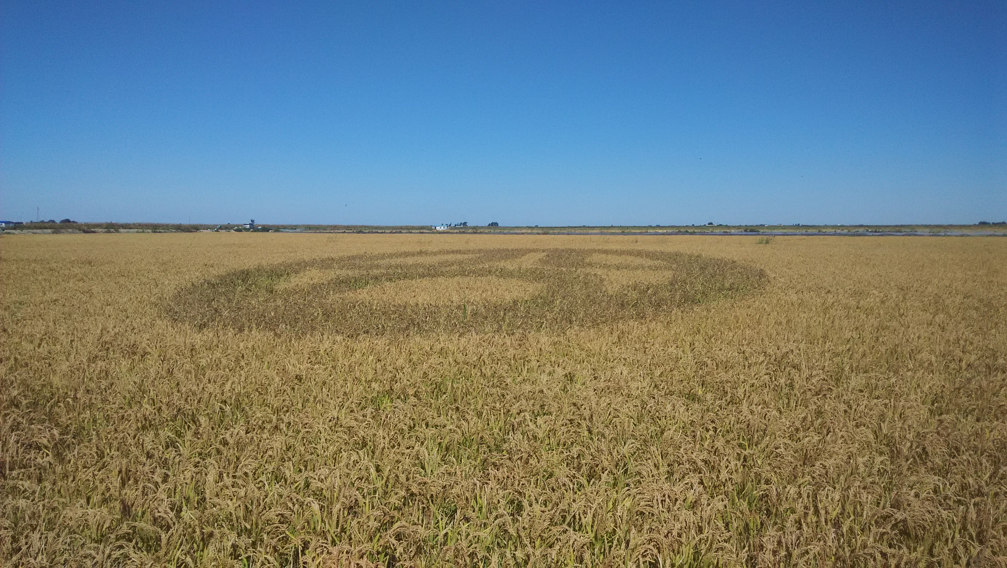 北京的北边有片红红的海北京很多人都没有去过