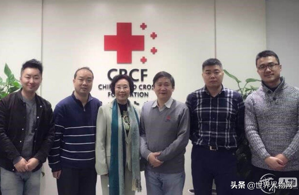 钻石总裁高博：一面商业一面慈善