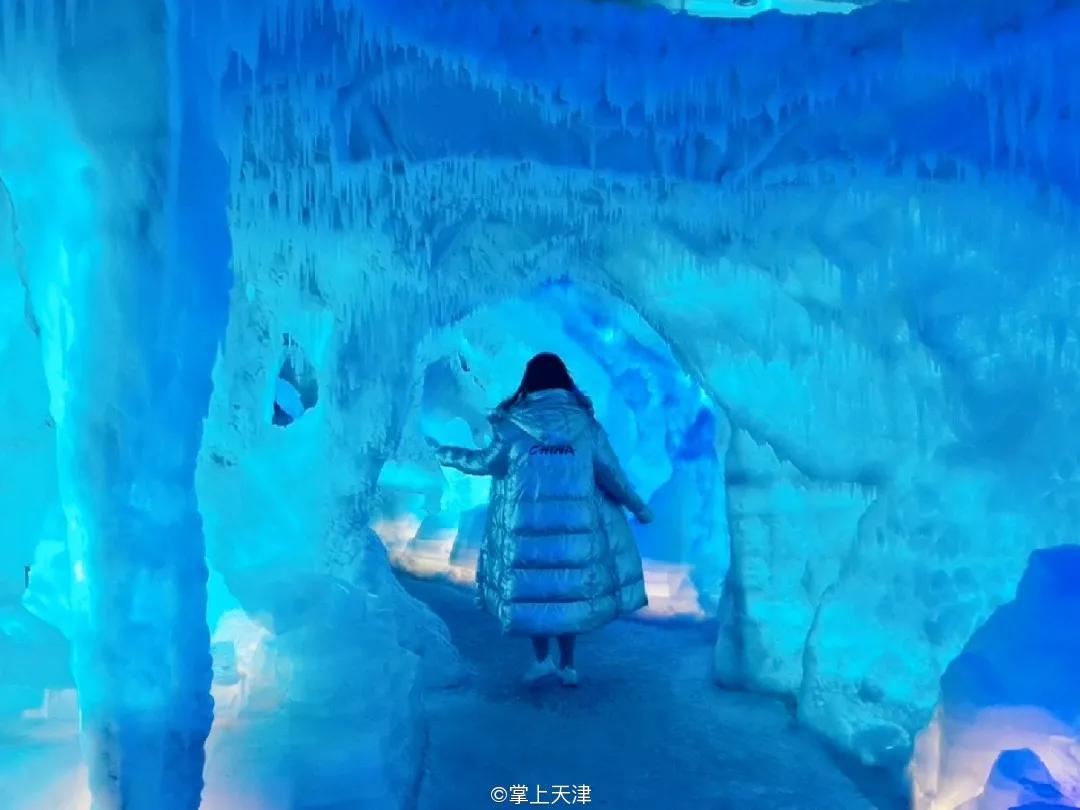 天津海昌极地海洋世界年票,天津海昌极地海洋99票价真实性