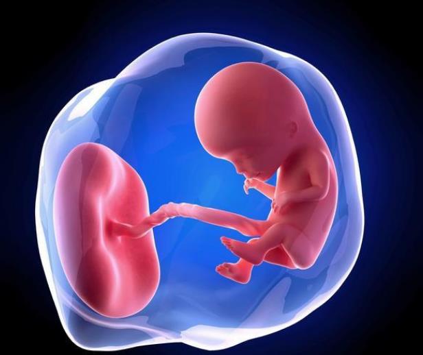 怀孕1到9个月的过程图片,孕早期辛苦了的图片