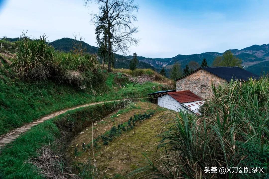 沪外游集：“华东香格里拉”-公盂村春季徒步