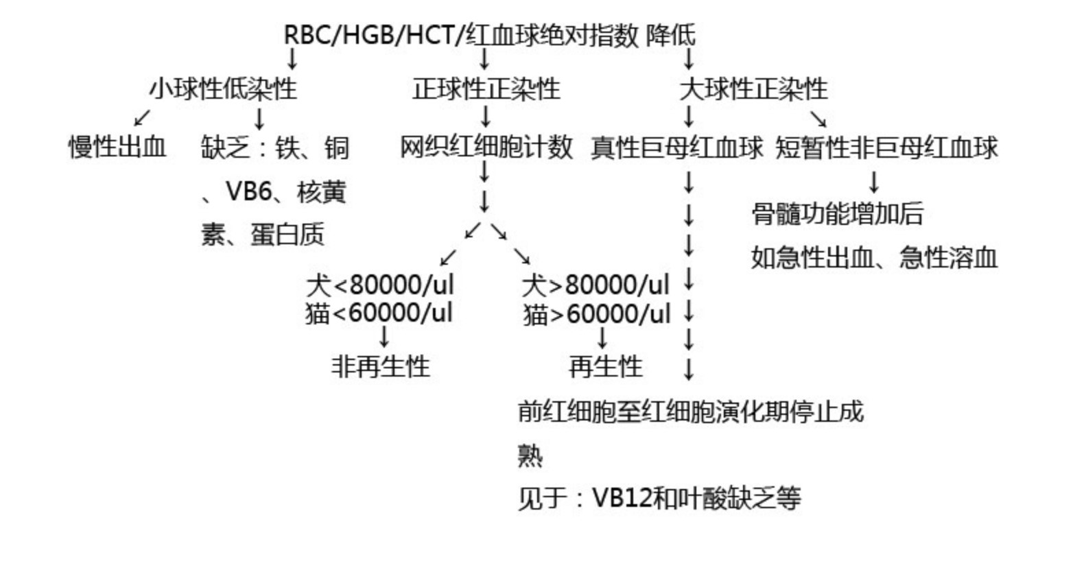 四大血液病,四种贫血的诊断依据