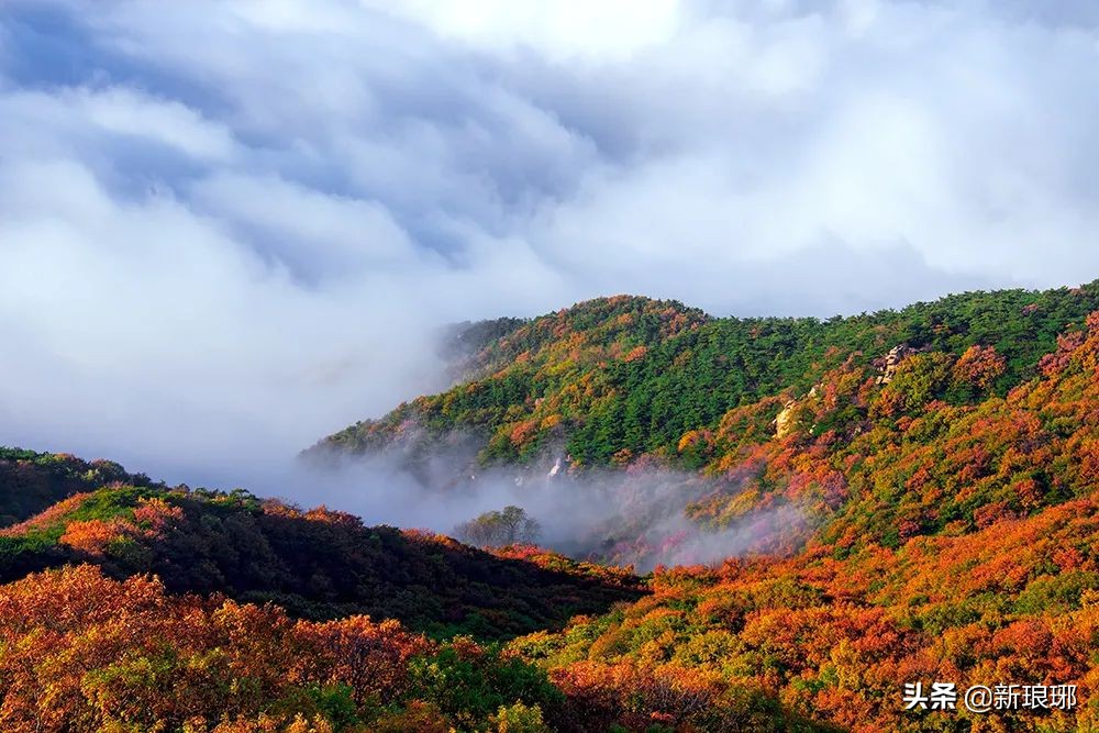 罗湖区最适合爬的山,绝美的风景在山顶