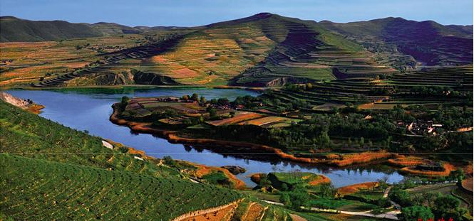 宁夏固原市西吉县,每天一道回族菜