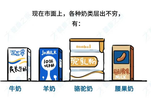 骆驼奶有什么功效,骆驼奶真的有效果吗