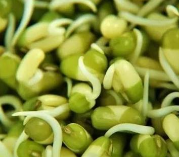 忆清明祖辈给我们留下了什么?