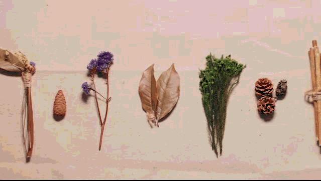 她31岁放弃北漂高薪，回归森林“捡垃圾”，用树叶打造出人间仙境