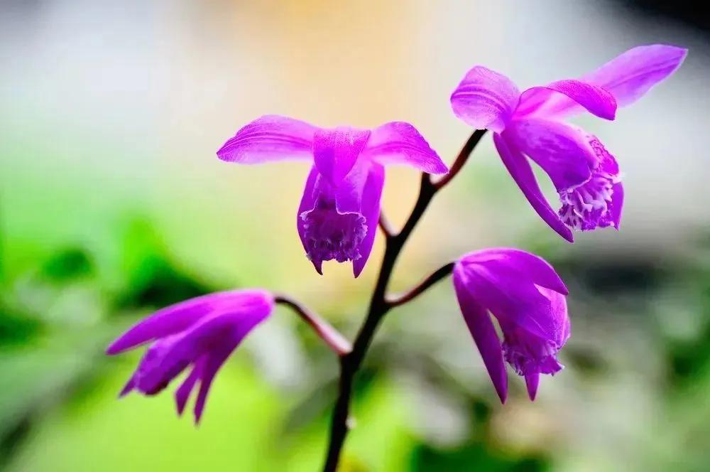 冻干祛痘面膜推荐,适合祛红痘印的面膜推荐