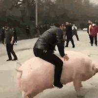 上厕所没有厕纸只能用绳子,上厕所没有卫生纸能用吗