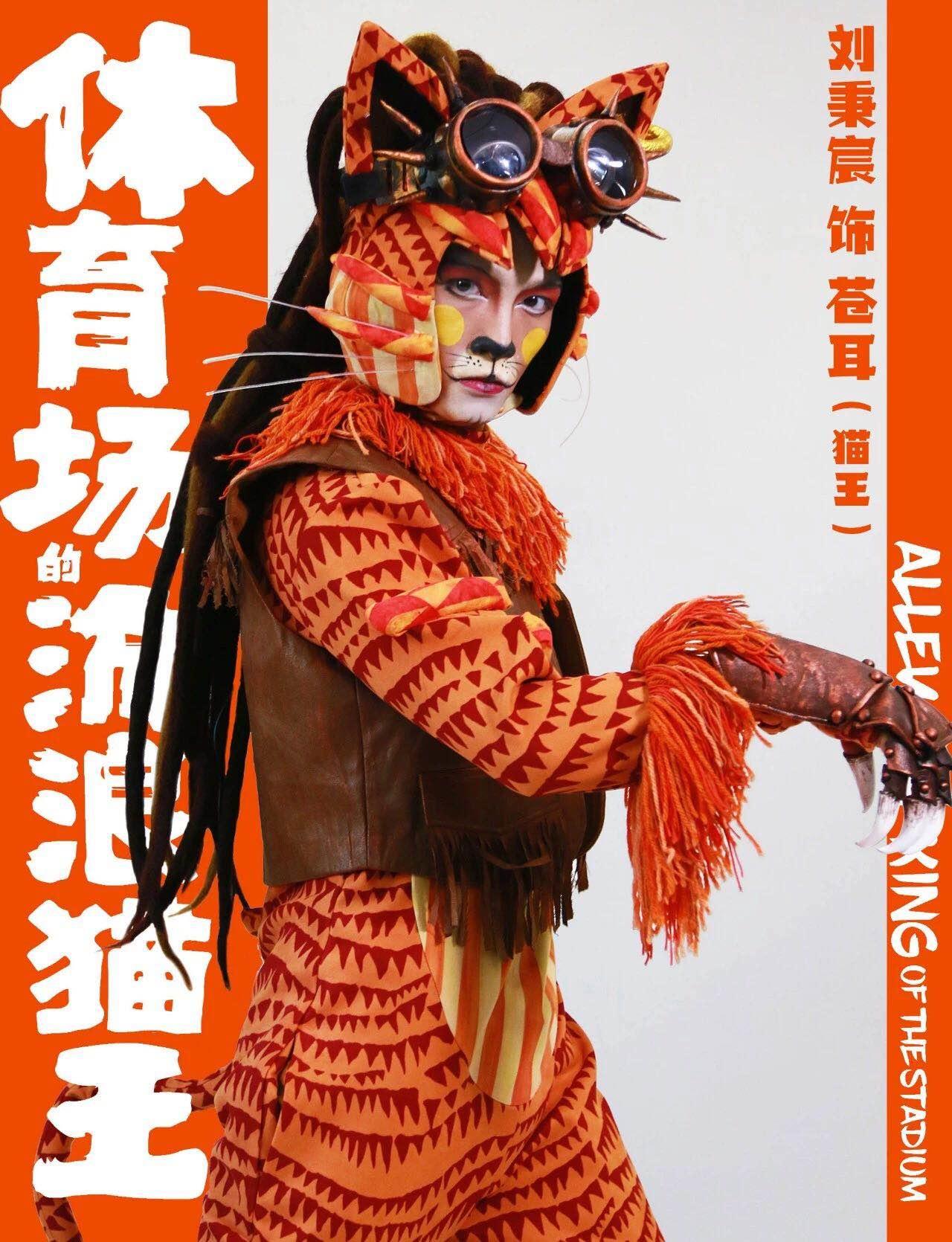 体育馆的流浪猫,体育场里的流浪猫王