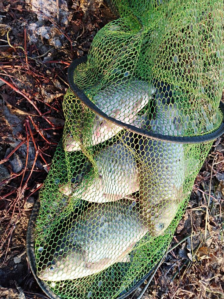 子母坠线组,子母坠如何调钓