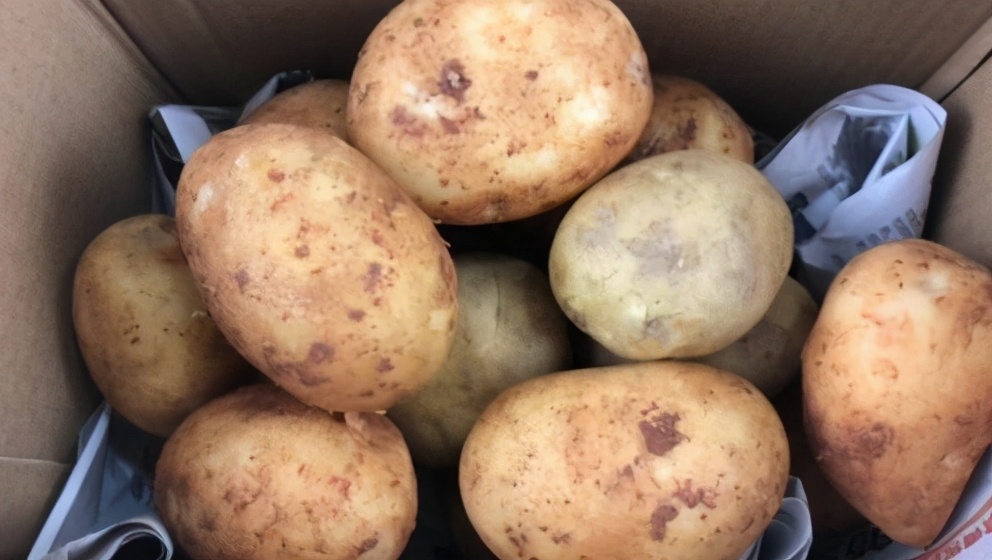 保存土豆妙招,保存土豆的诀窍