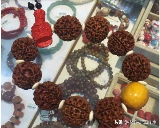 尼泊尔大金刚与落地红的简单区别,印尼大金刚就是落地红吗