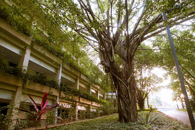 广州巴厘岛免费景点,广州温泉度假攻略
