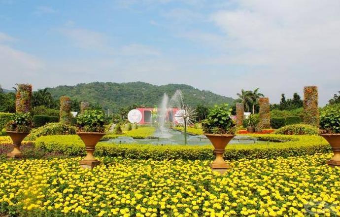 深圳旅游旅行团哪家好,福建旅行社旅游线路推荐