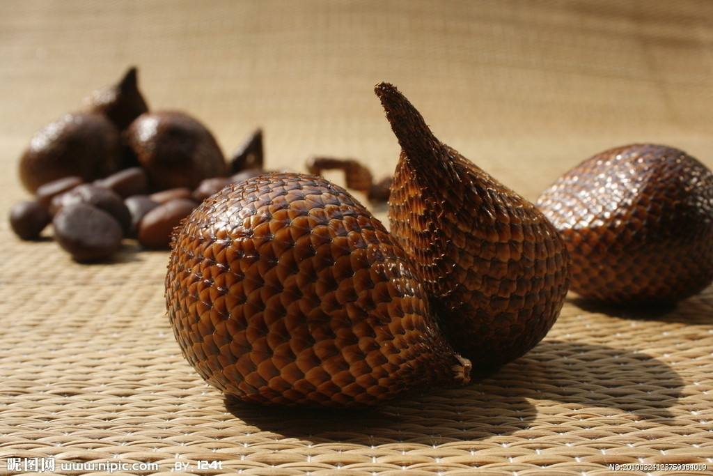 奇妙假期全套,奇妙的旅游之旅