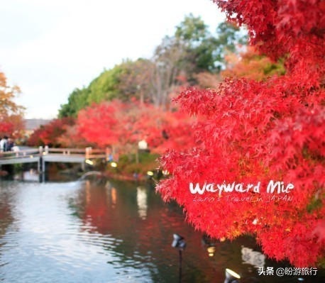 关西白滨自由行攻略,日本自由行攻略大阪温泉