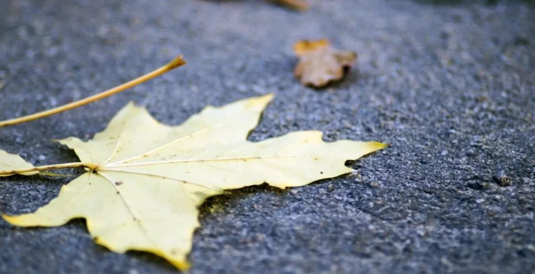 怎么样的孩子才叫牛气冲天的孩子？