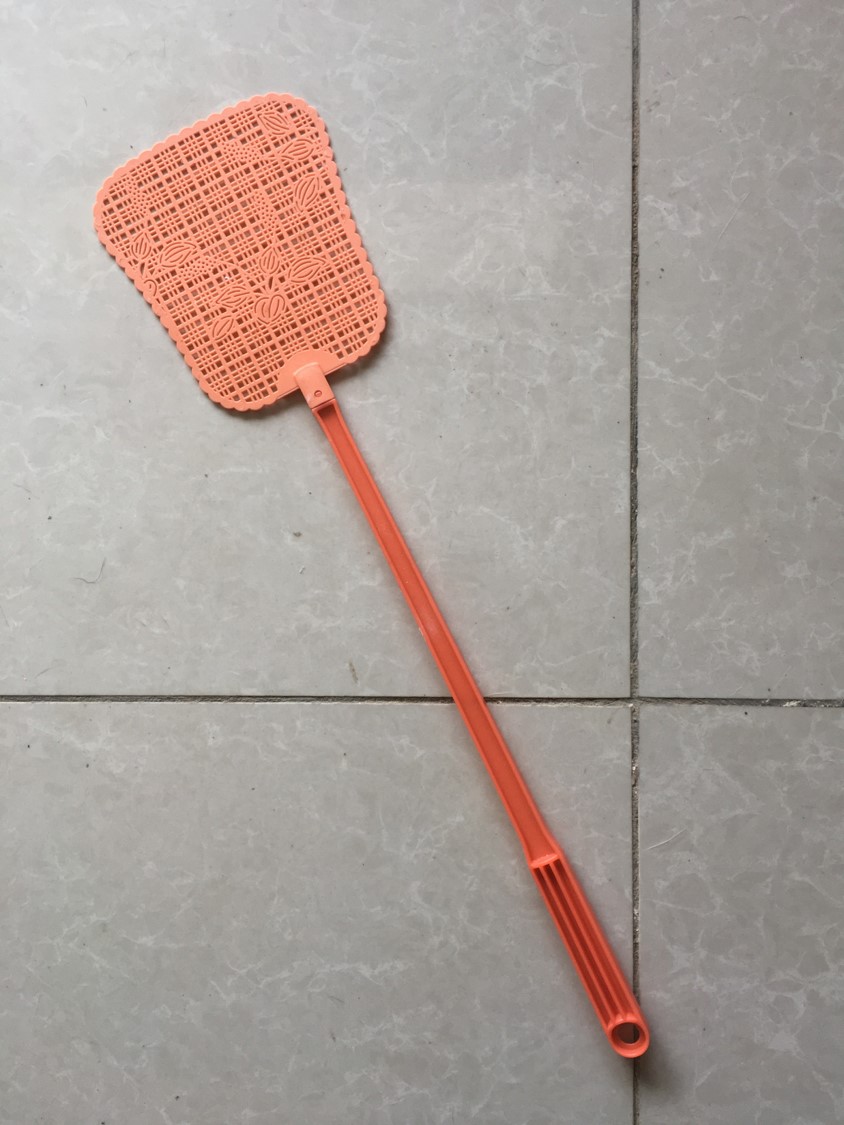 天下武功唯快不破却不能躲子弹,天下武功唯快不破捉苍蝇