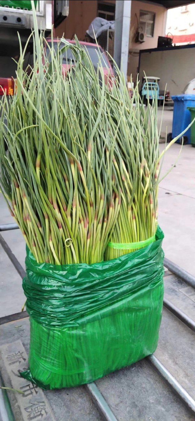 山东大蒜蒜薹价格最新行情,2020年山东蒜薹价格最低批发价