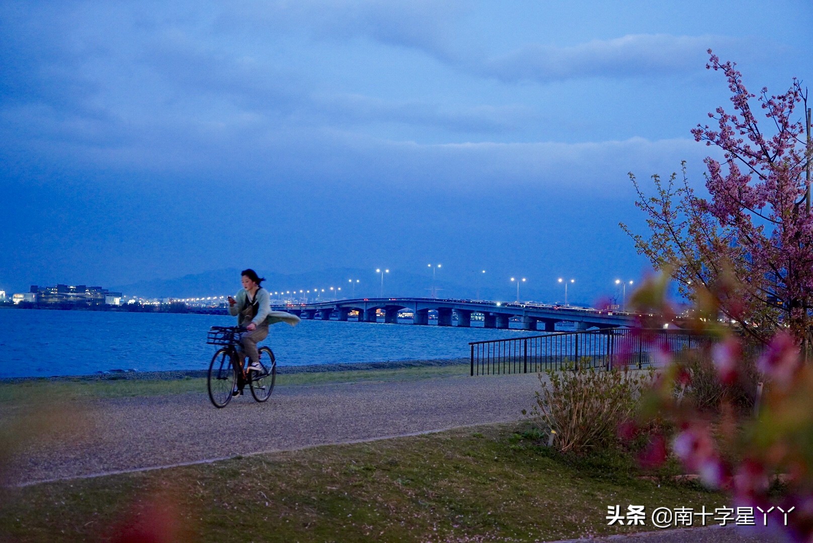 日本寻樱之旅|住一间神仙级体验的动漫手办民宿