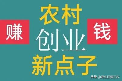 农村创业点子100例,农村创业思路农村创业点子100例