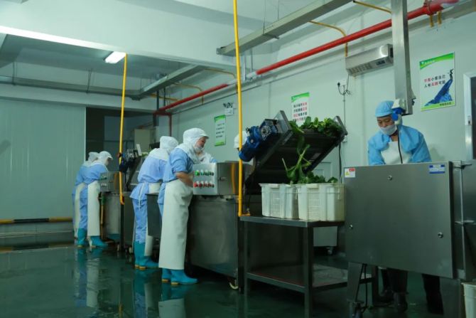 面食遇资本，和府、李先生、牛家人在熊猫星厨开纯外卖店加速扩张