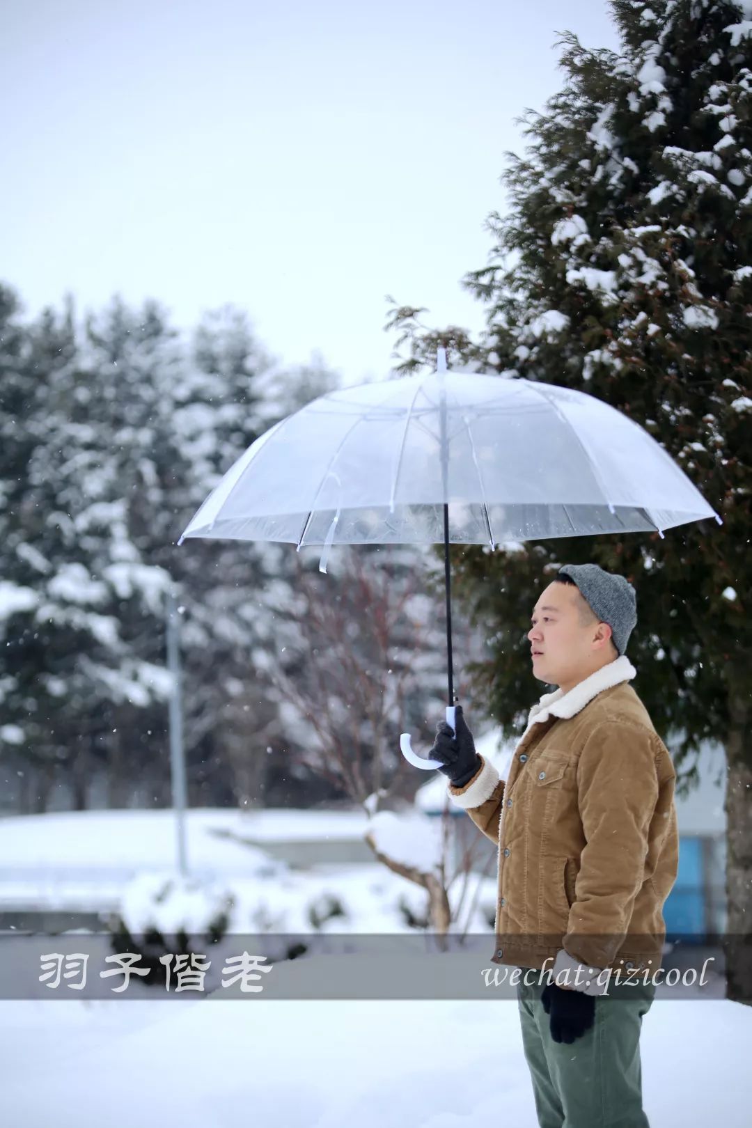 老实说,这一趟北海道就是为了拍好看的照片去的