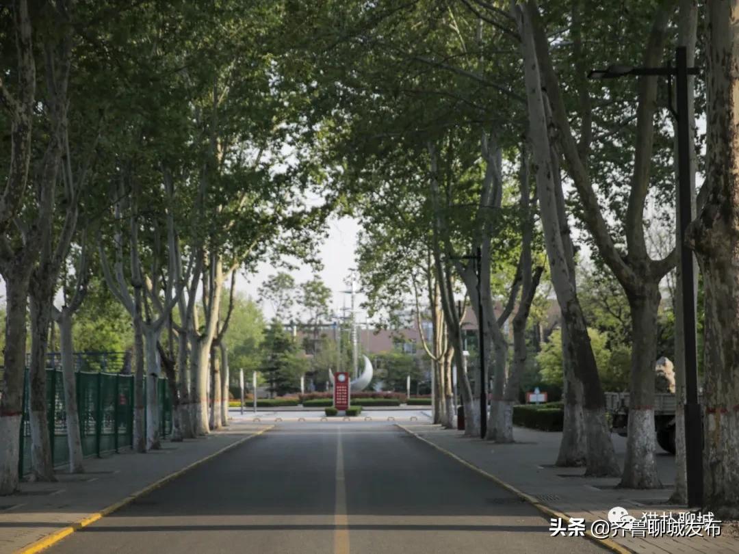 五个月未见面的聊城大学，现在你怎么样了？