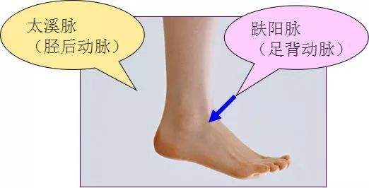 中医经络是个谜,中医第四章经络