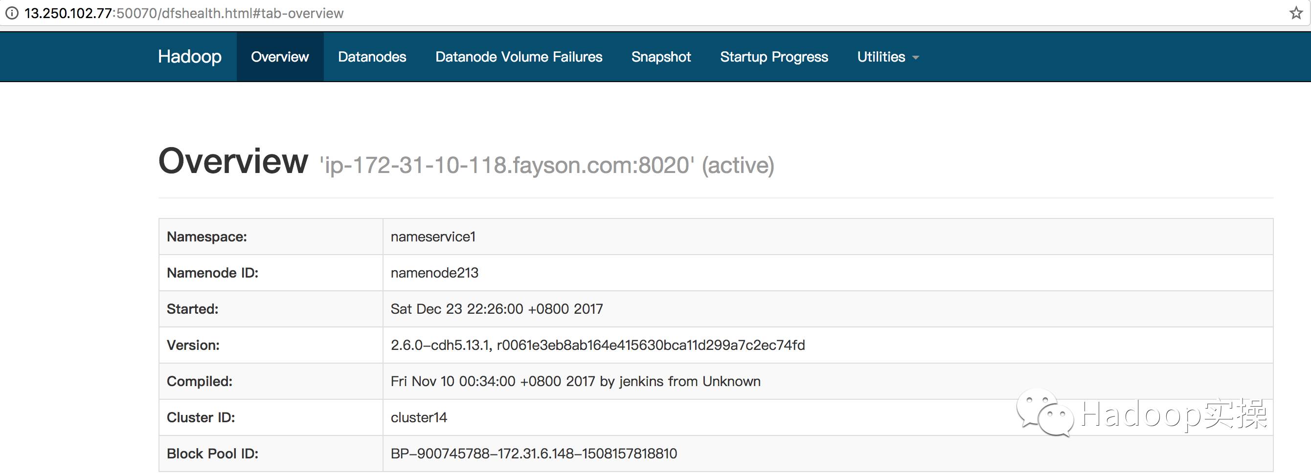 0125-如何在集群外节点跨网段向HDFS写数据