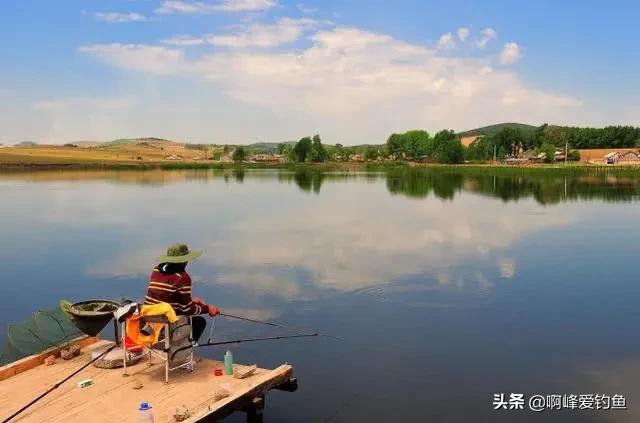 鲢鳙到底怎么钓才能钓得多,鲢鳙怎么才好钓