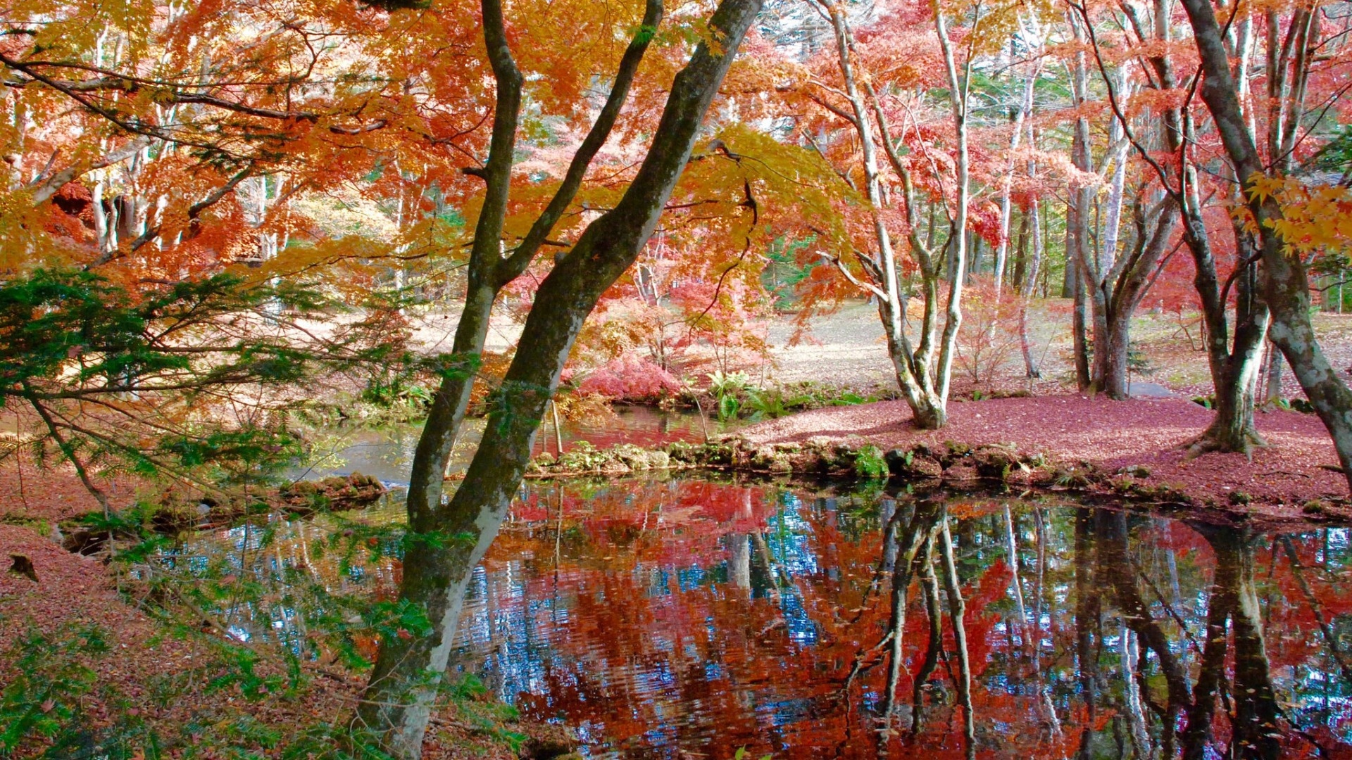 唯美大气养眼山水风景手机壁纸,唯美二次元风景手机壁纸高清