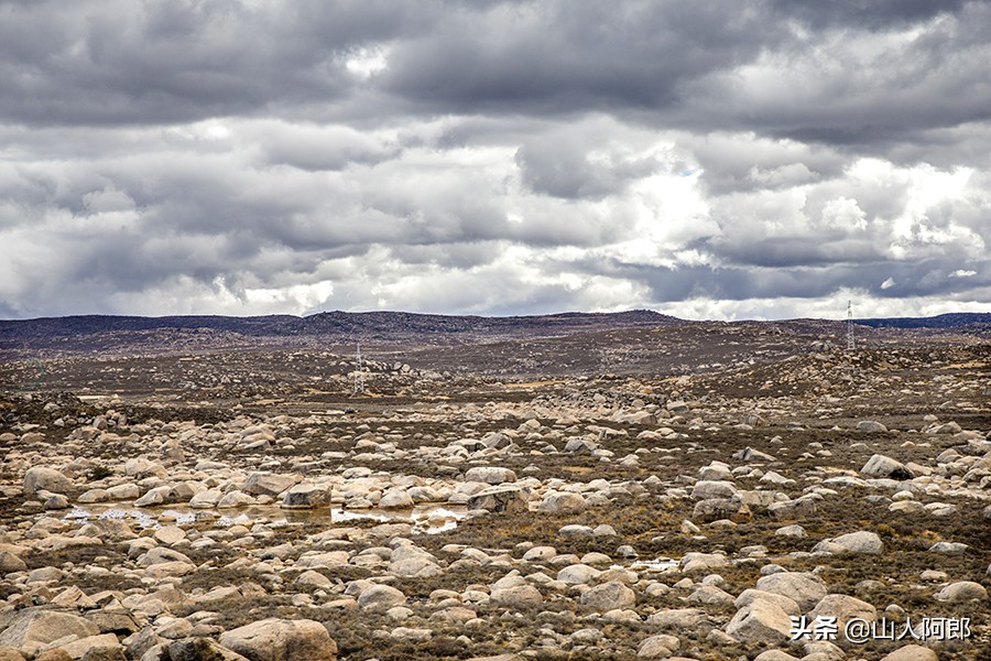 宸濊タ楂樺師澶ц崏鍘熺殑璺笂鐓х墖,闈掕棌楂樺師涓婄殑鑽夊師闆北椋庢櫙