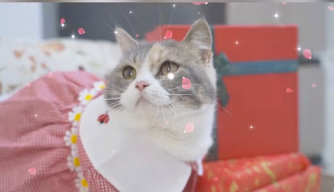 520送对象礼物攻略,520节日的时候送什么礼物最好情侣