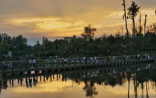 藏不住的双流,双流8500亩城市湿地公园