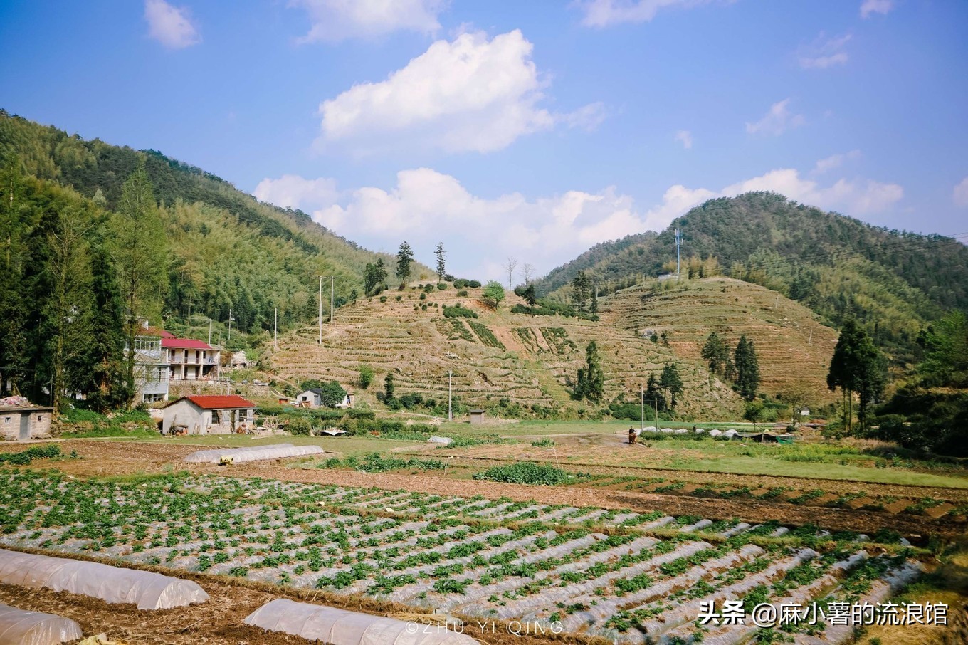 最早的抹茶是什么茶做的,日本抹茶源于中国唐宋的点茶法