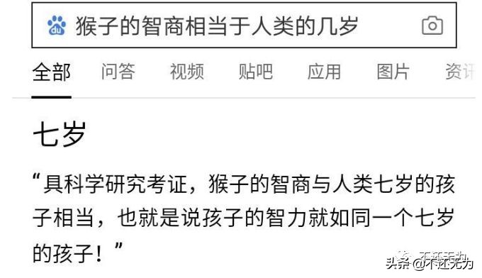 养宠物猴子,养宠物为什么不能养猴子