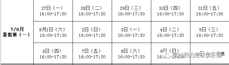 惠州烈豹足球俱乐部,惠州青少年足球赛报名
