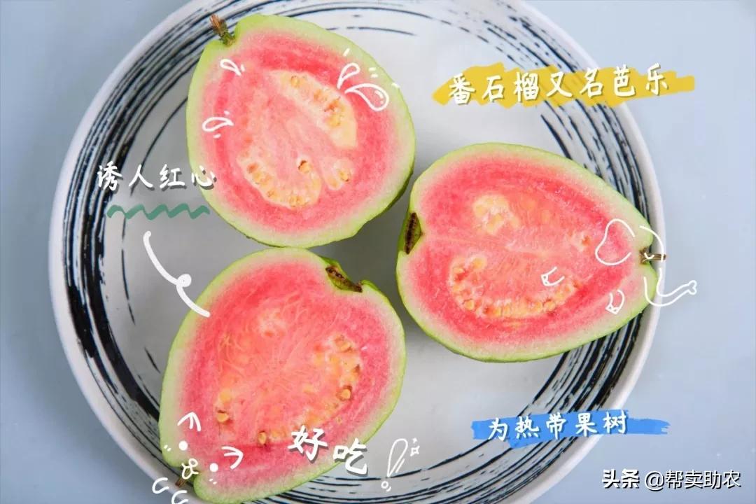 水果中脂肪含量高的水果,低糖高纤维的水果