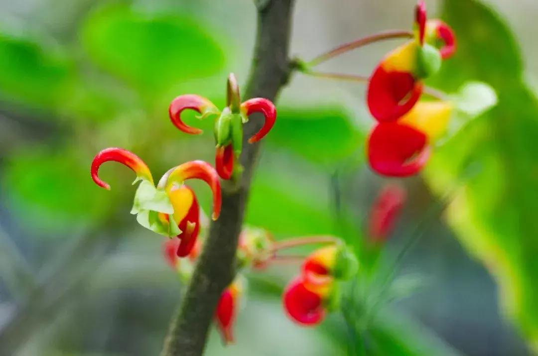 他的工作是厨师的英文,他的工作是什么英文句子