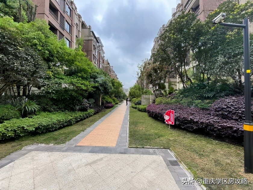 照母山的重点中学,照母山优质学区