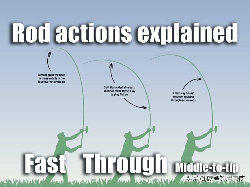 欧鲤钓鱼竿杆包,欧鲤钓竿的选择