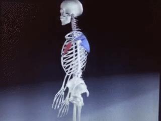 肩颈颈椎痛怎么缓解最快最有效,颈椎病最怕的5个症状