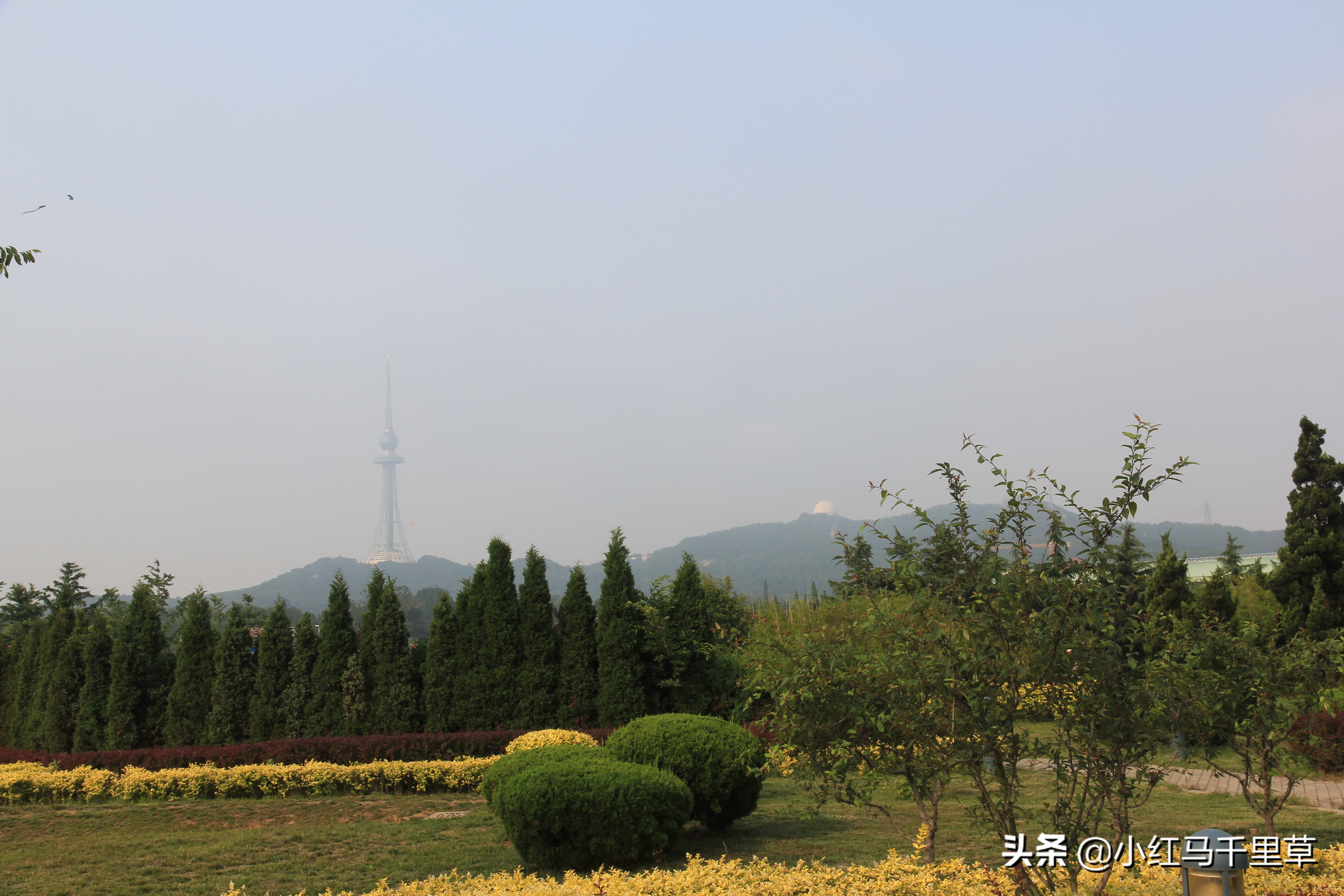 好客山东青岛旅游攻略,好客山东浪漫青岛