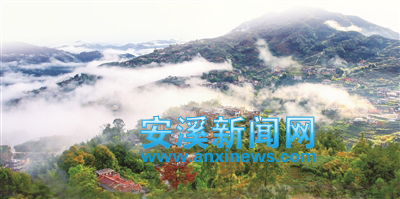 弘扬铁观音茶文化,安溪铁观音茶文化申遗宣传片