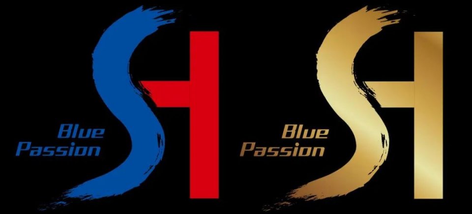 申花总经理周军完整版,申花周军演讲