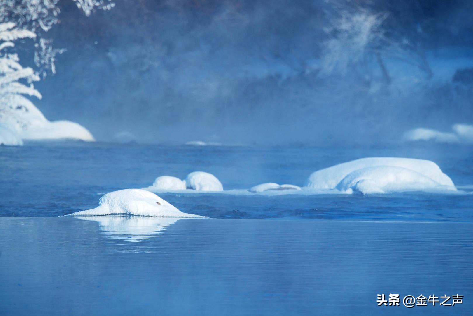 诵读国学传诵经典,关于国学经典传诵的视频